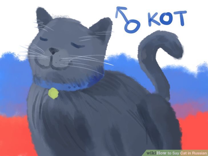 Say Cat in Russian Step 2 Version 2.jpg