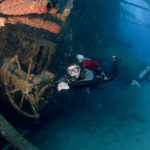 the best dive sites in bonaire