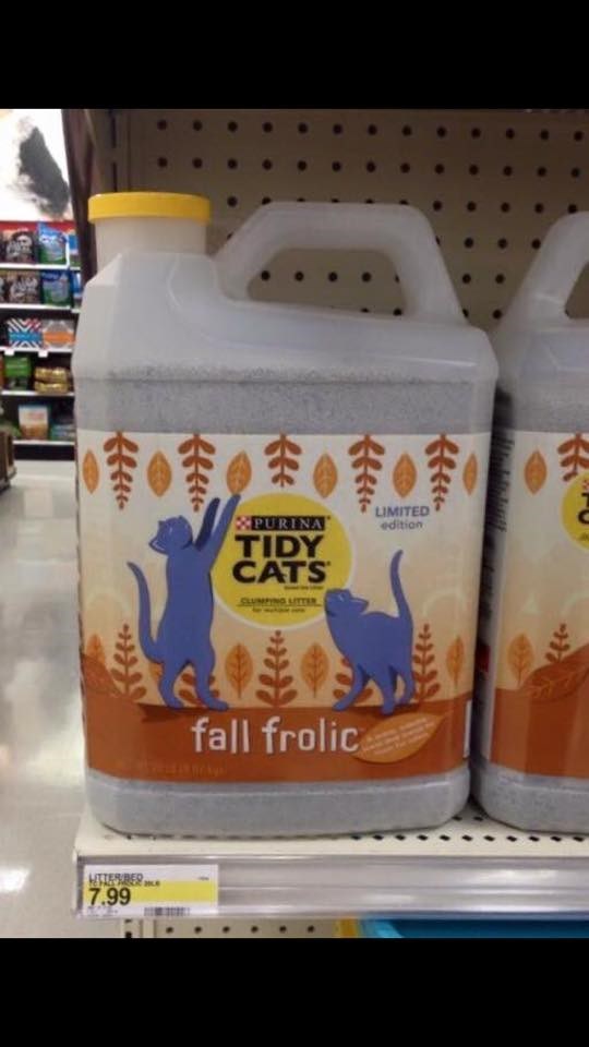 FAIL,Cats,litter