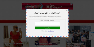 pop up email subscription form