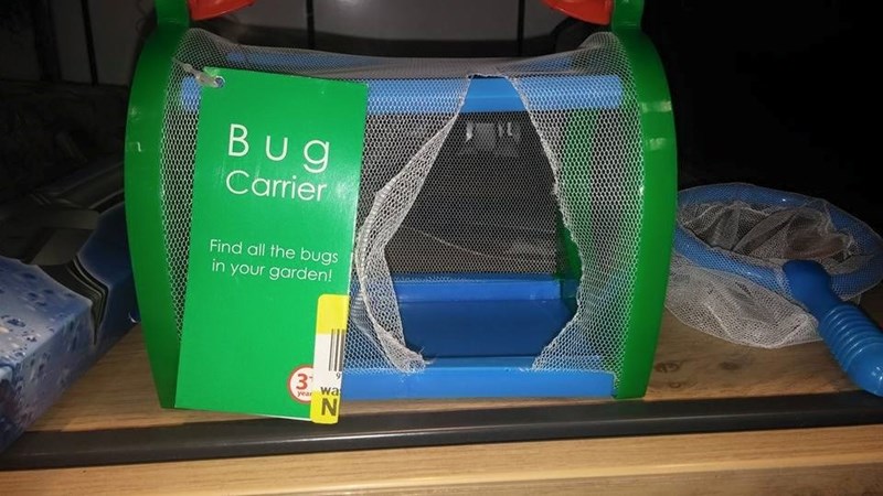 bugs,FAIL,products