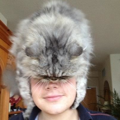 For one, the cat hat makes a versatile accessory.