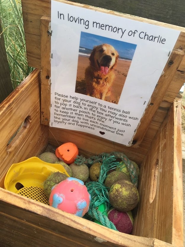 Someone had left a crate "in loving memory of Charlie," a dog who recently passed. It was filled with old tennis balls and doggie toys for other dogs to enjoy. And if someone's dog wished to keep the ball or toy, "then that's fine," a note said.