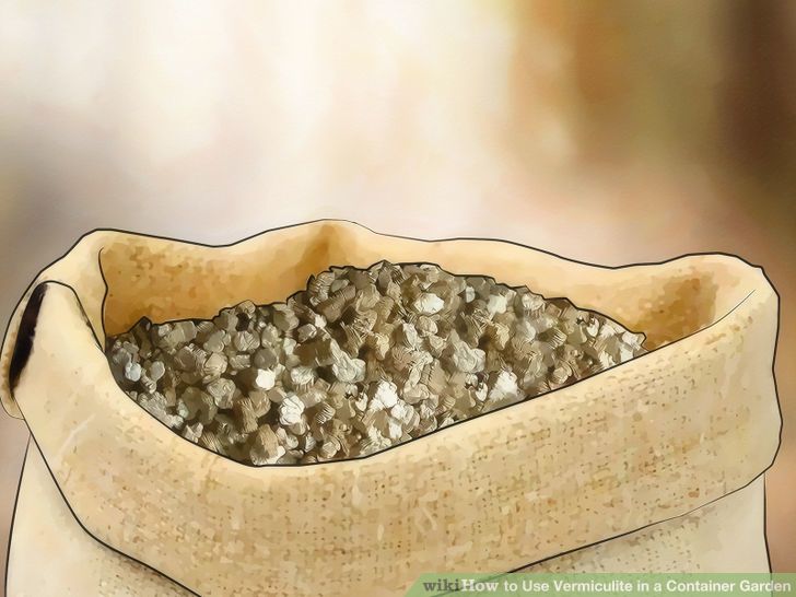 Use Vermiculite in a Container Garden Step 1.jpg