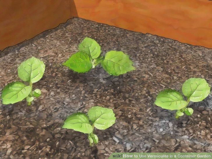 Use Vermiculite in a Container Garden Step 8.jpg