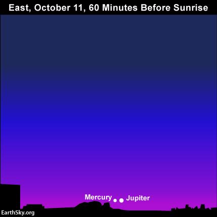 How many of you will see Mercury and Jupiter snuggling up together before sunrise on or near October 11, 2016?