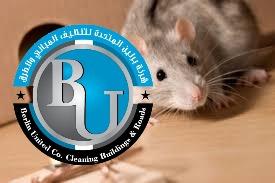 شركات القضاء على الفئران | افضل شركات القضاء على الفئران - شركة برلين المتحدة 9557672