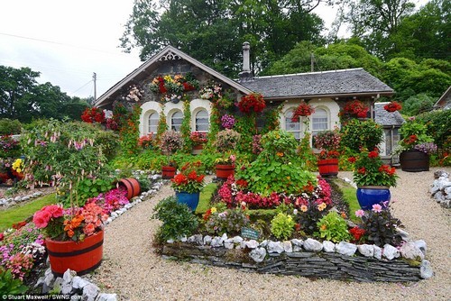 trồng hoa sân vườn, thiết kế sân vườn, mẫu sân vườn đẹp, khu vườn cổ tích