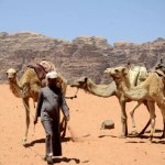 Fotos de Wadi Rum, beduino y manada de camellos