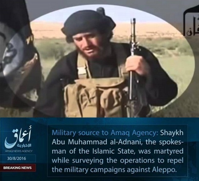 Efek Mubahalah, Jubir ISIS Abu Muhammad Al-Adnani Tewas di Aleppo