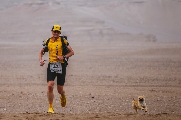 Earlier this month, the world fell in love with Gobi, a stray dog in China who ran 22 miles next to a marathoner named Dion Leonard.