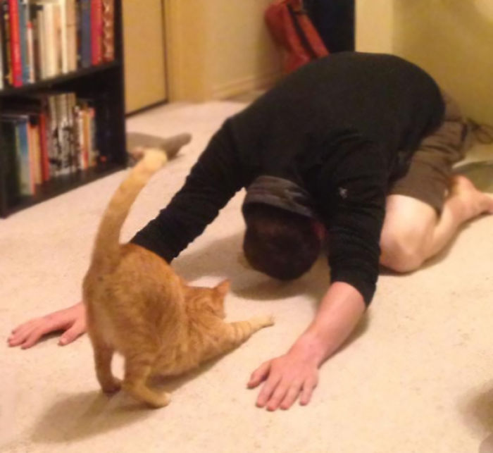 My Husband And Our Cat Doing Yoga. Or Maybe Our Cat Thinking That My Husband Is Bowing Down To Him