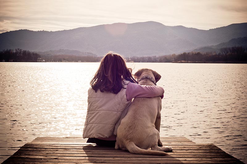 5 Things Marketers Can Learn From Man's Best Friend