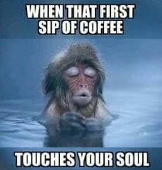 Image result for when the first sip- of coffee touches your soul