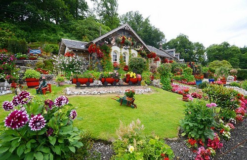 trồng hoa sân vườn, thiết kế sân vườn, mẫu sân vườn đẹp, khu vườn cổ tích