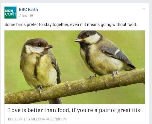 funny facebook puns BBC headline