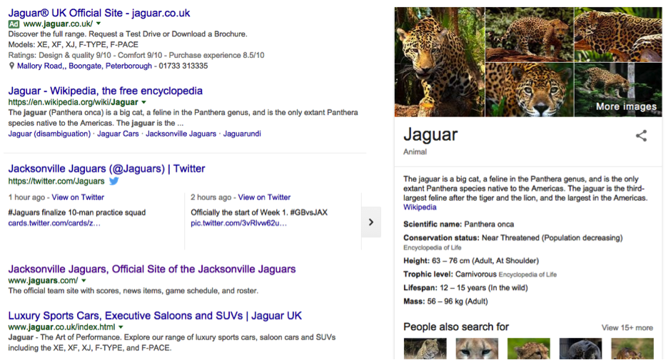 jaguar-search-term