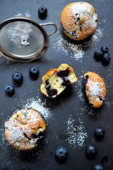 Blueberry and Vanilla Muffin