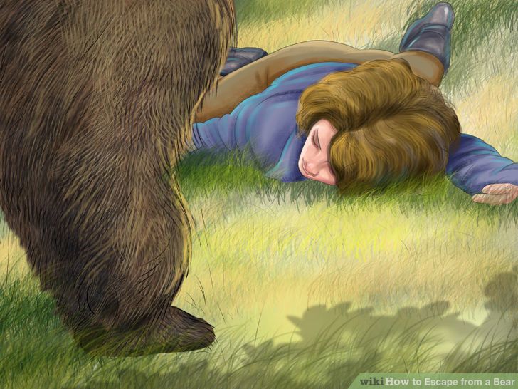 Escape from a Bear Step 18.jpg