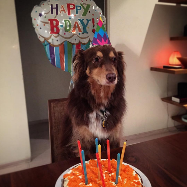 Luckily, Amanda's a cool mom and posted an Instagram of Finn celebrating in front of his cake, complete with a party hat and balloon: