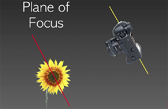 plane of focus
