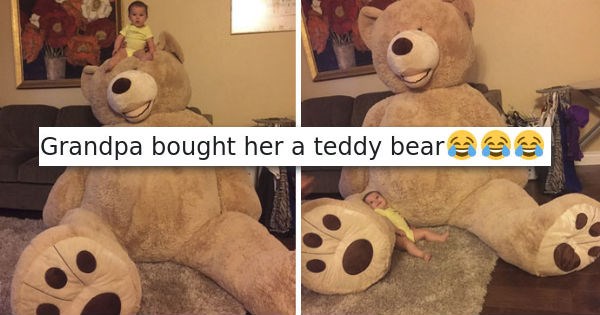 teddy bear,list,cute,parenting,Grandpa,win
