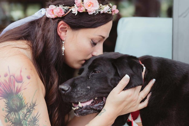 Charlie Bear, a 15-year-old black lab mix battling a brain tumor, lived just long enough to see his human get married earlier this month.