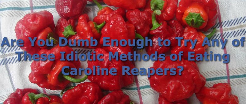list,carolina reapers,spicy,peppers,dumb,Video
