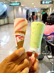 Kiwi & strawberry ice cream eaten in Narita Airport