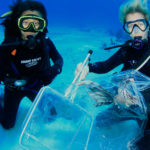 lionfish3-stuart-coves-dive-bahamas_web