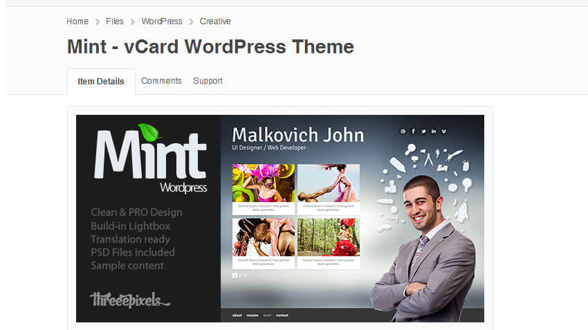 Mint - vCard Wordpress Theme