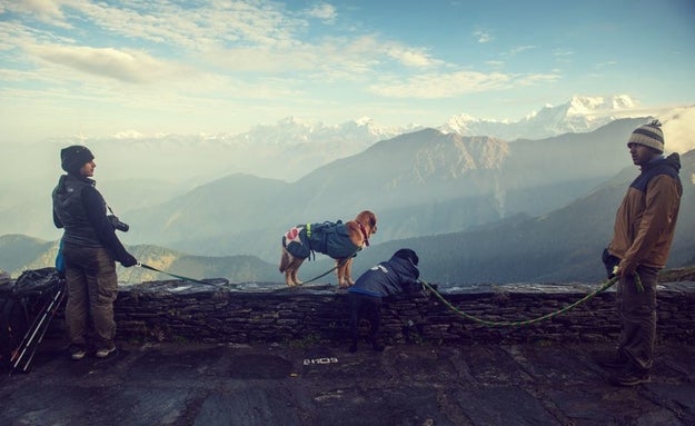 He recently visited Chopta, a hill station in Uttarakhand, with his friends Rukmini and Vijay. The couple runs a company called Collarfolk in New Delhi that plans vacations for families with dogs.