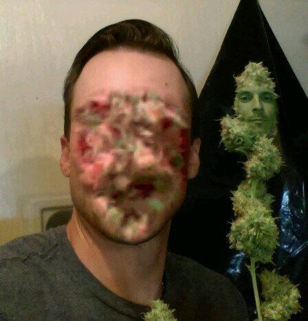 funny win image guy faceswaps with weed