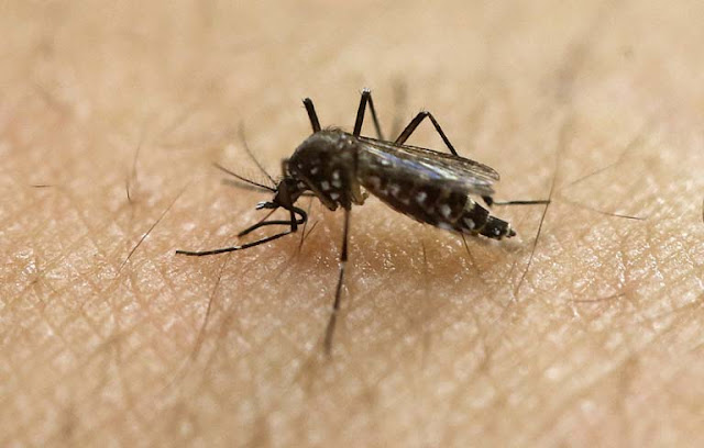 BREAKING: Zika Virus Now In Metro Manila! Everyone Must Know This!