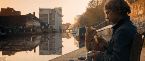 Cinema 2016 A Street Cat Named Bob Online