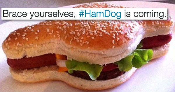 hot dog,twitter,list,australia,food,hamburger