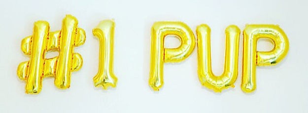 Start off strong with some glitzy balloons that spell it out for your pet who can't read.