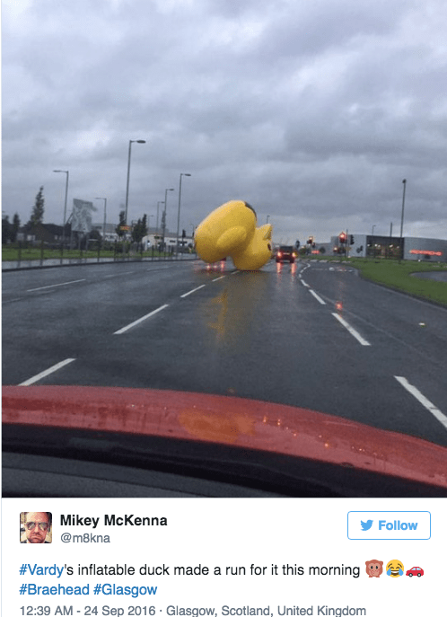 image ducks wind Giant Inflatable Duck Wreaks Havoc on Scotland