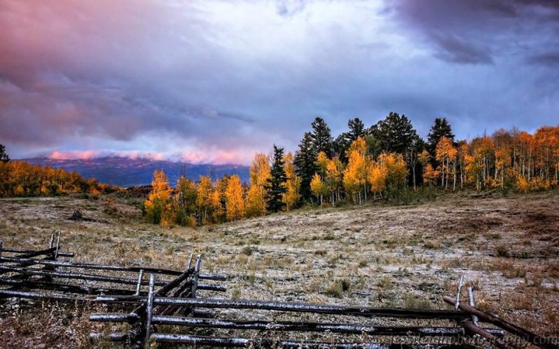 Autumn 2016 in the Colorado Rocky Mountains. Photo via Jessi Leigh Photography. Thanks Jessi!
