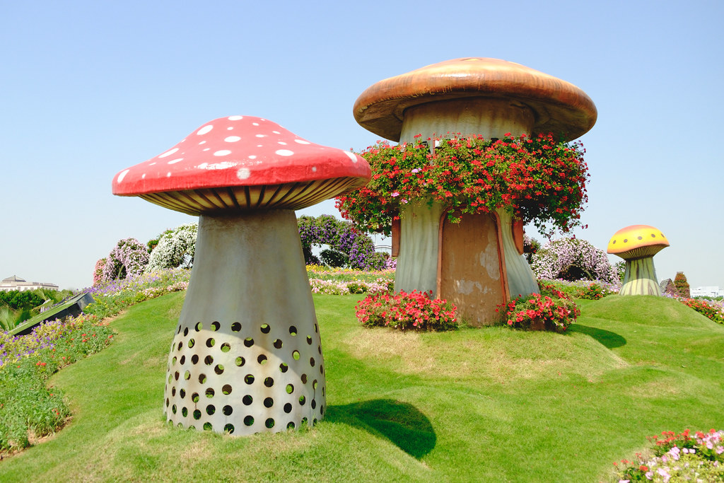 Mushroom, mushroom