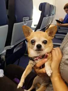 Rita on the plane.
