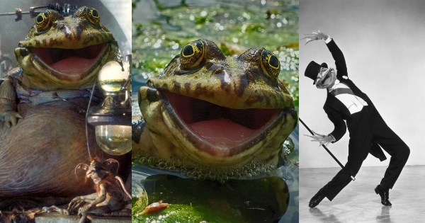 list,photoshop battle,frog