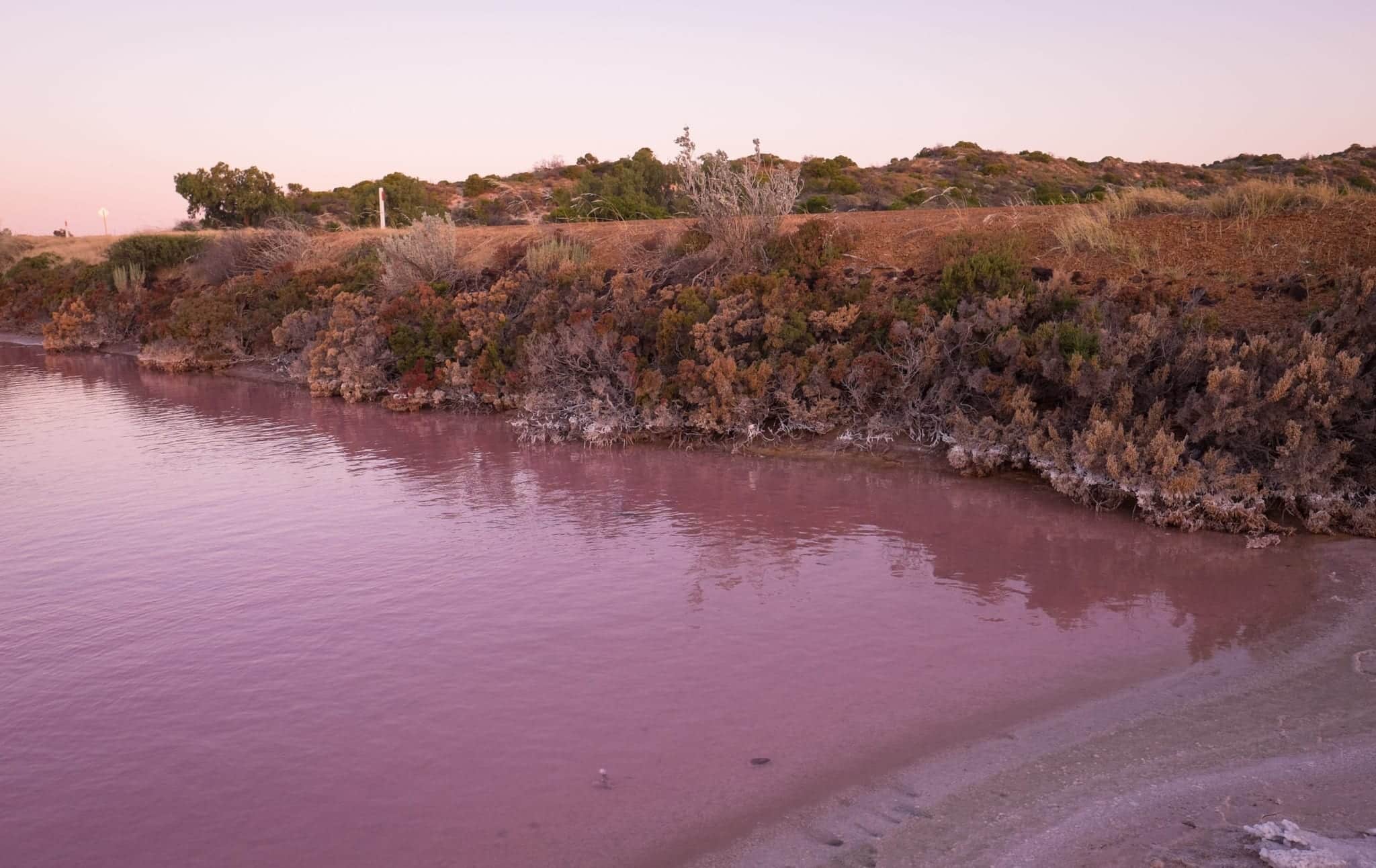 Hutt Lagoon Pink Lake, Western Australia