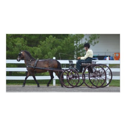 walnut hill carriage driving horse show photo print