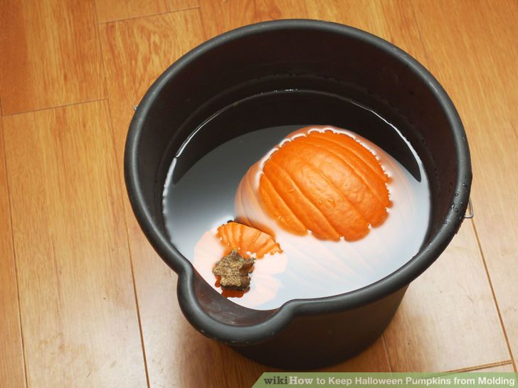 Keep Halloween Pumpkins from Molding Step 5 Version 2.jpg