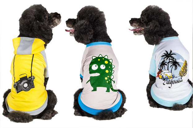 Get a little variety with a 3-pack of novelty shirts for your adventurous dog.
