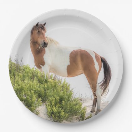 Protector of the Dunes Paper Plates