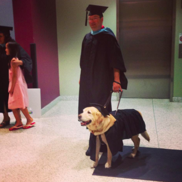 This smart pupper who was given an honorary master's degree for sitting through all his owner's classes.