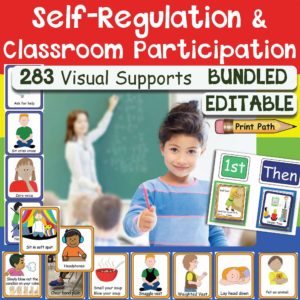 Visual Supports for Self Regulation and Classroom Participation