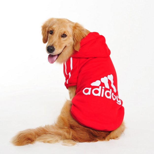 Help your pup get her ball on with a sports hoodie fit for big dogs.
